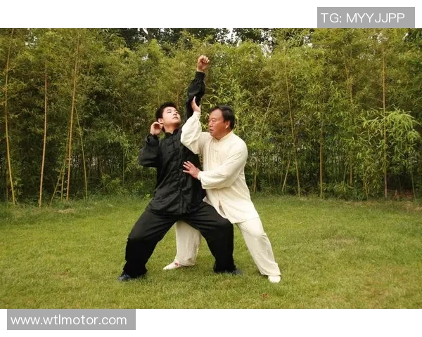 轻松获取太极拳视频下载资源助你提升武术技能与健康生活方式